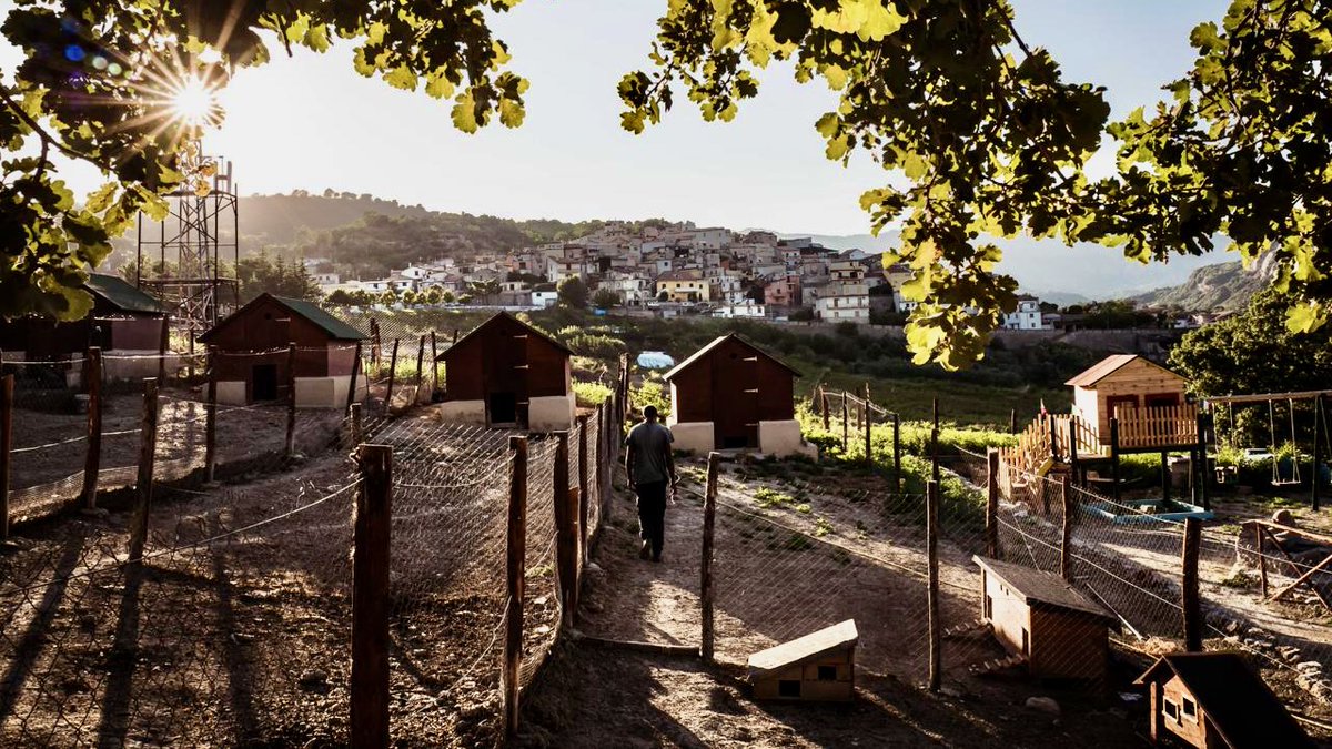 metisnews2's tweet photo. 📸 Esce “Camini: Una finestra sul mondo”. #Camini #Accoglienza #Integrazione #FotografiaSociale #JungiMundu #Locride #ReggioCalabria #Rifugiati #Workshop #Comunità ↓ https://t.co/oT3caVHxHG https://t.co/hz2Dihhbrf