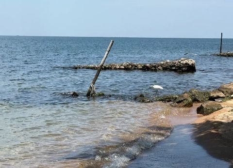 UnchartedKenya's tweet photo. Shamba house, Takawiri Island, Lake Victoria https://t.co/ynSAEdLkvg
