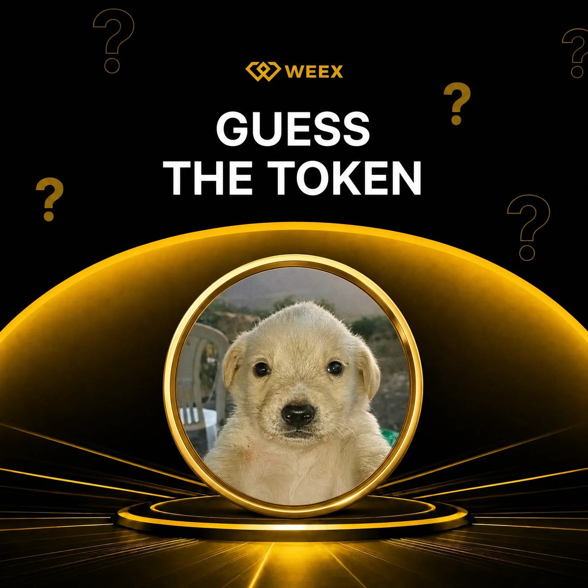 WEEX_Official's tweet photo. #WEEXQuiz Trending coin Giveaway 📒

Win 50 USDT: 5️⃣ lucky winners to share!

Just......
✅ Tag  frens 🧑‍🤝‍🧑
✅ RT + Comment your answer below 
✅ Drop your WEEX UID

Let's go! 👇 https://t.co/1aHDZJyGgS