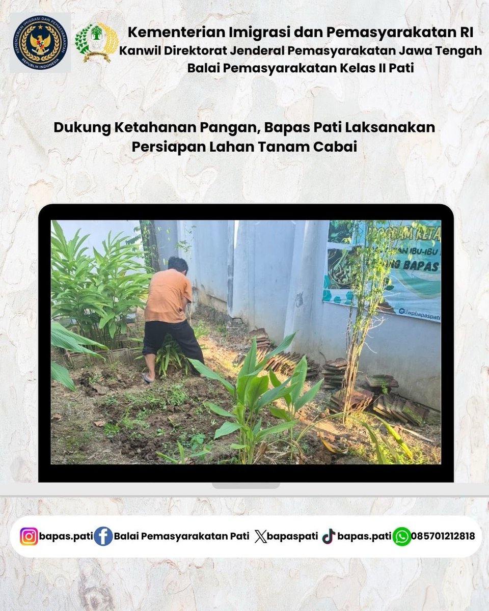 bapaspati's tweet photo. Dukung Ketahanan Pangan, Bapas Pati Laksanakan Persiapan Lahan Tanam Cabai

#kemenimipas
#pemasyarakatan
#kanwilditjenpasjateng https://t.co/UKOz07QSRj