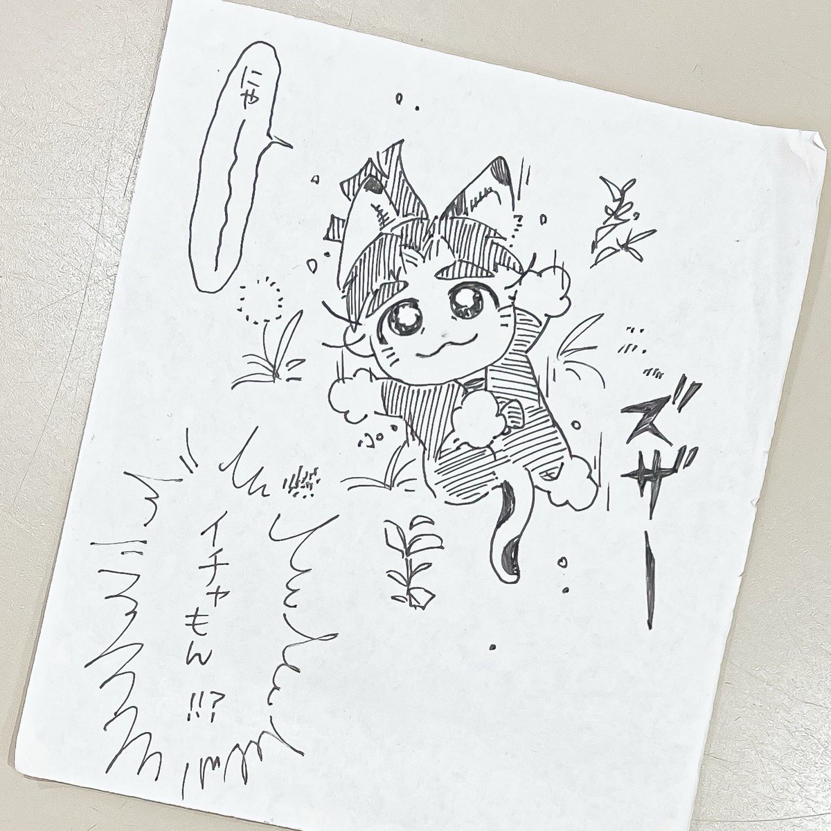 me__ka0's tweet photo. ਕべιյ猫イチャもん https://t.co/Mo7f0s7aiz