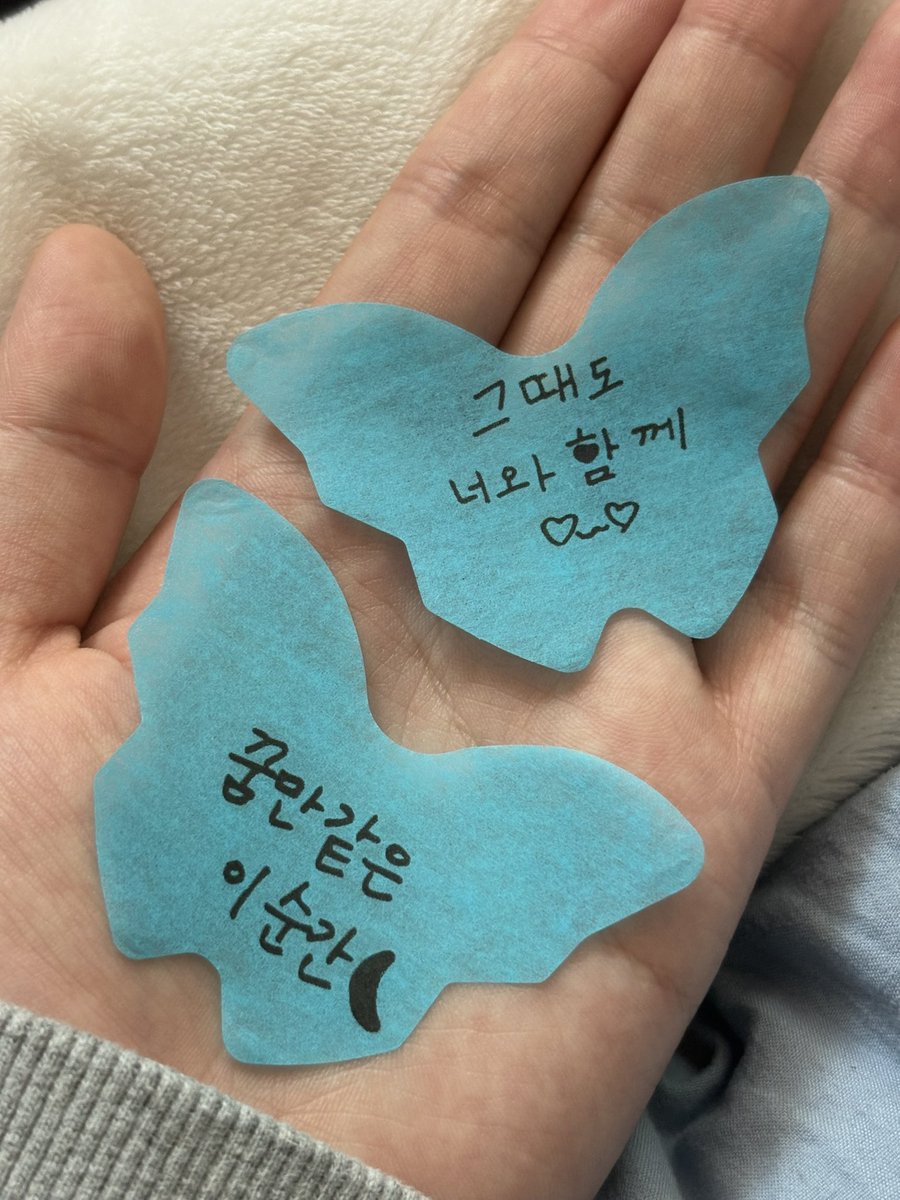 또도해/막f19 tweet media
