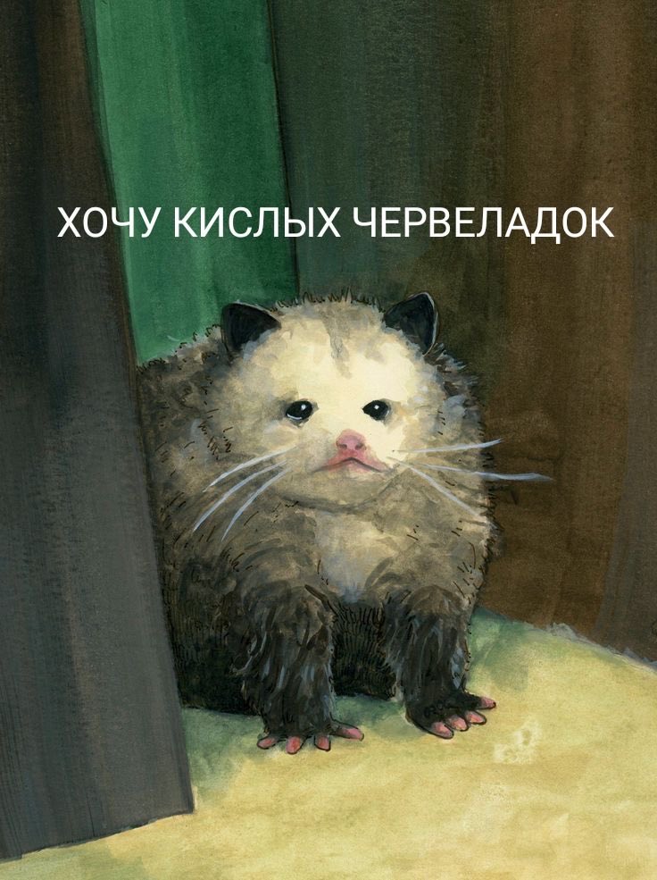 sophie_ptichka's tweet photo. *Температура в теле, понимается*
Я: https://t.co/z9Z9L5Q2zO