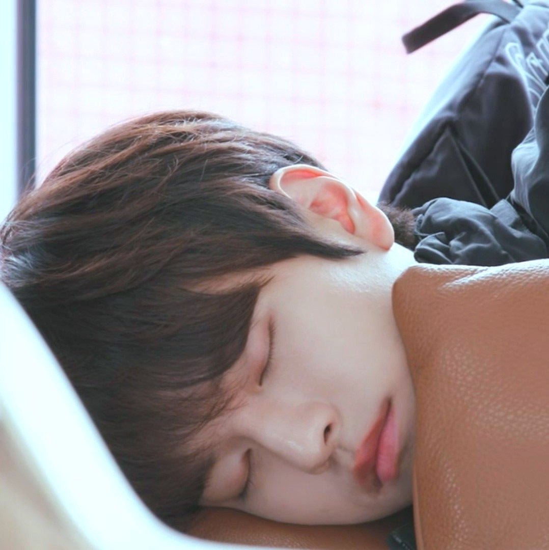 unknown__xuxi's tweet photo. 🥟🐶 https://t.co/wOqwqCSHVp