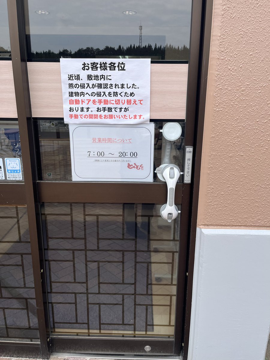 bowsmx's tweet photo. 今週はどこ行っても熊、熊、熊だったのだ。 https://t.co/TEyiAdU7Ey