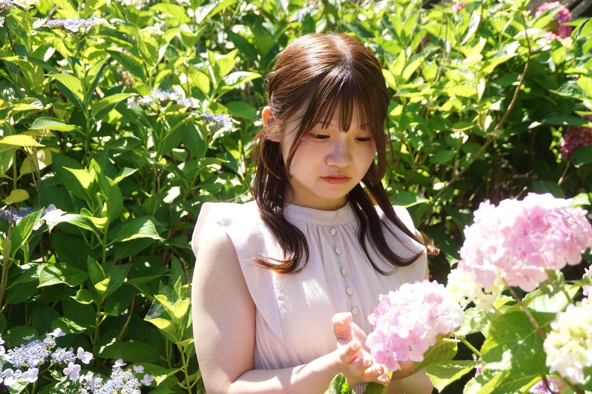 kochi5911's tweet photo. 中書島周辺にて
モデル：咲菜さん(@saa_697)
#紫陽花撮 https://t.co/UnqJtlt3rp