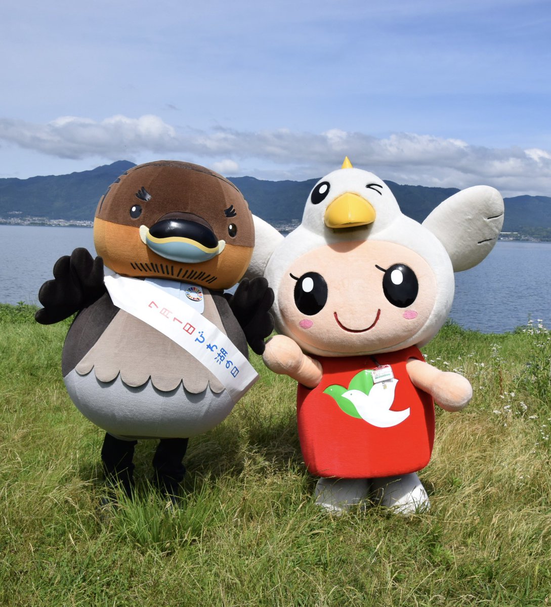 ドアラ姫🐨2号 (@crazy_nanachan) / Posts / X