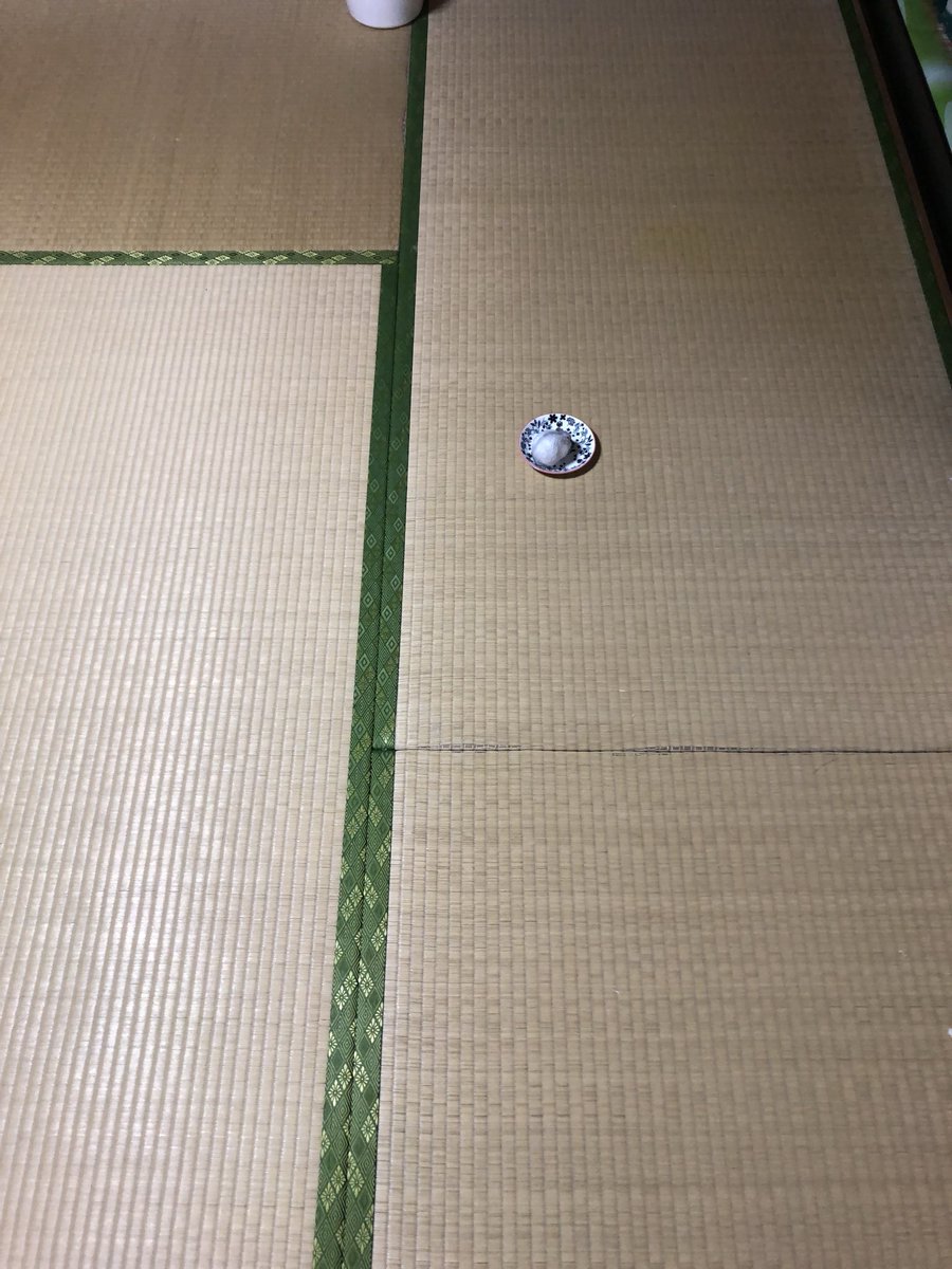 hamuhamustar924's tweet photo. 大福とハムスターです。 https://t.co/wDPKNbahhW