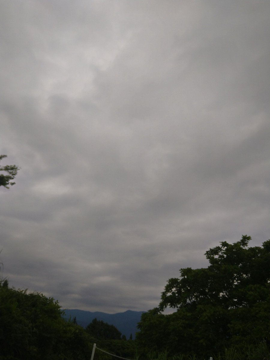 0719Minmin's tweet photo. 久々のここでの呟き
実の所こういう薄暗い雰囲気の方が好きだったり？ https://t.co/Uy007rdJ1u
