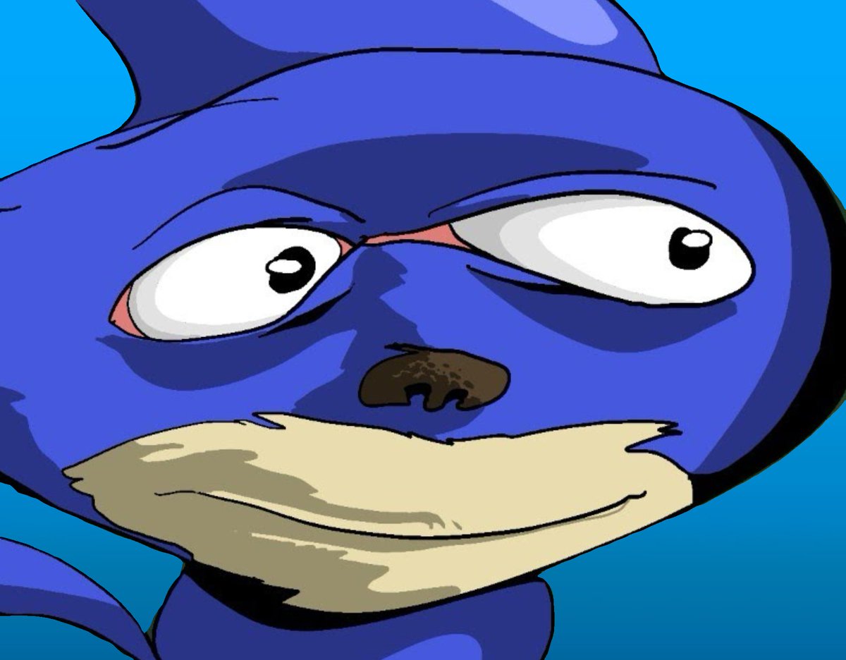 SANIC THE HEDGEHOG tweet media