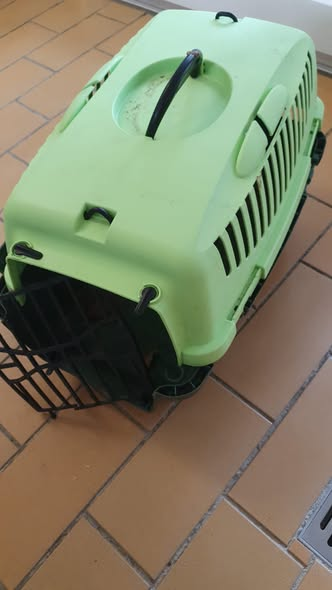 yolandaschultes's tweet photo. 24941 Flensburg
Katze ausgesetzt
Kopie Tierheim Flensburg
Fundkatze ausgesetzt
Geschlecht: vermutlich weiblich
kein Chip
ausgesetzt in der Marienhölzung
Sonstiges: verfilzt, verdreckt
Vertr. Nr. 237
Wer dieses Tier vermisst, kennt oder Angaben zu den Besitzern machen kann, meldet sich bitte direkt im Tierheim Flensburg. 
Telefon: 0461-51598
Erreichbarkeit:
09:00–11:00 Uhr
15:00–17:00 Uhr
Wochenende: 15:00–17:00 Uhr

Bitte wendet Euch während der Öffnungszeiten direkt telefonisch an die Mitarbeiter im Tierheim. Sollte das Telefon einmal nicht besetzt sein, ist vermutlich gerade viel Betrieb – bitte einfach später erneut versuchen.
Vielen Dank für Euer Verständnis!