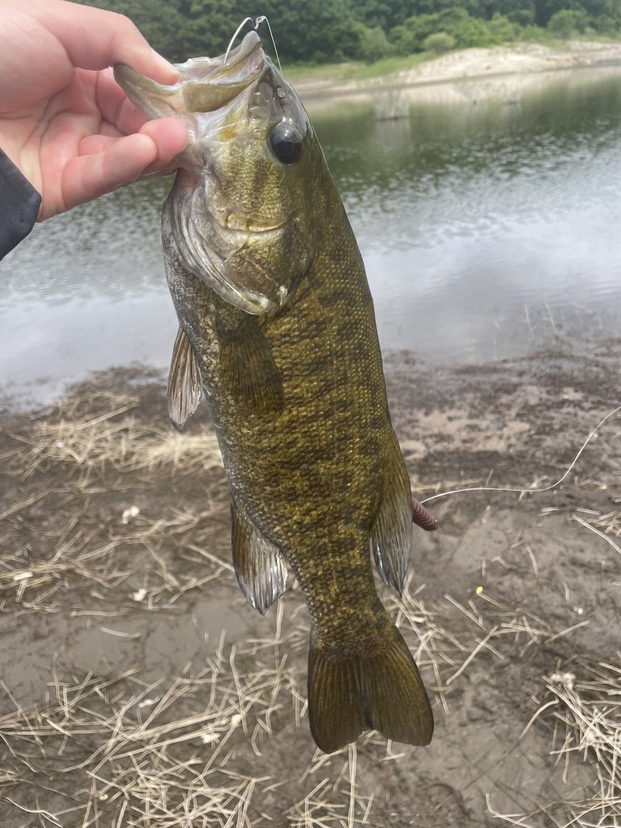BB47OSP's tweet photo. シャローフラットをカットスイングでズルズルしてたら厳ついのきた🎣
ちなみに優勝ロッド入魂フィッシュ🏆笑 https://t.co/tS9KeyTMfp