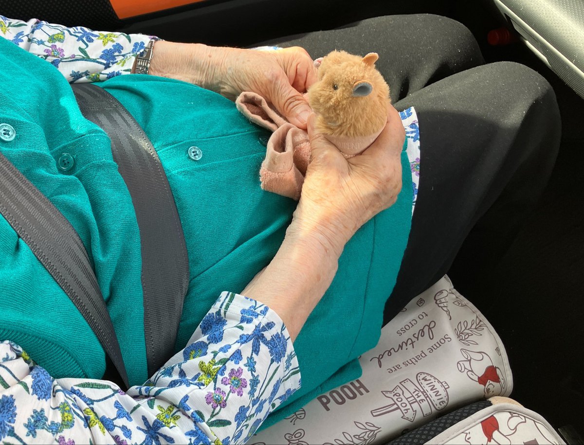 motohara_kei's tweet photo. 96歳のぬい活。

つるたろう🐹念願のお出かけ。

#はむにぎり https://t.co/d4tQ0kmUTc