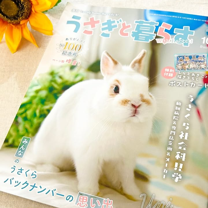たかうさぎ（感謝）/4 うさぎと暮らす』100号、おめでとうございます🎉📙 年4回、25年目の