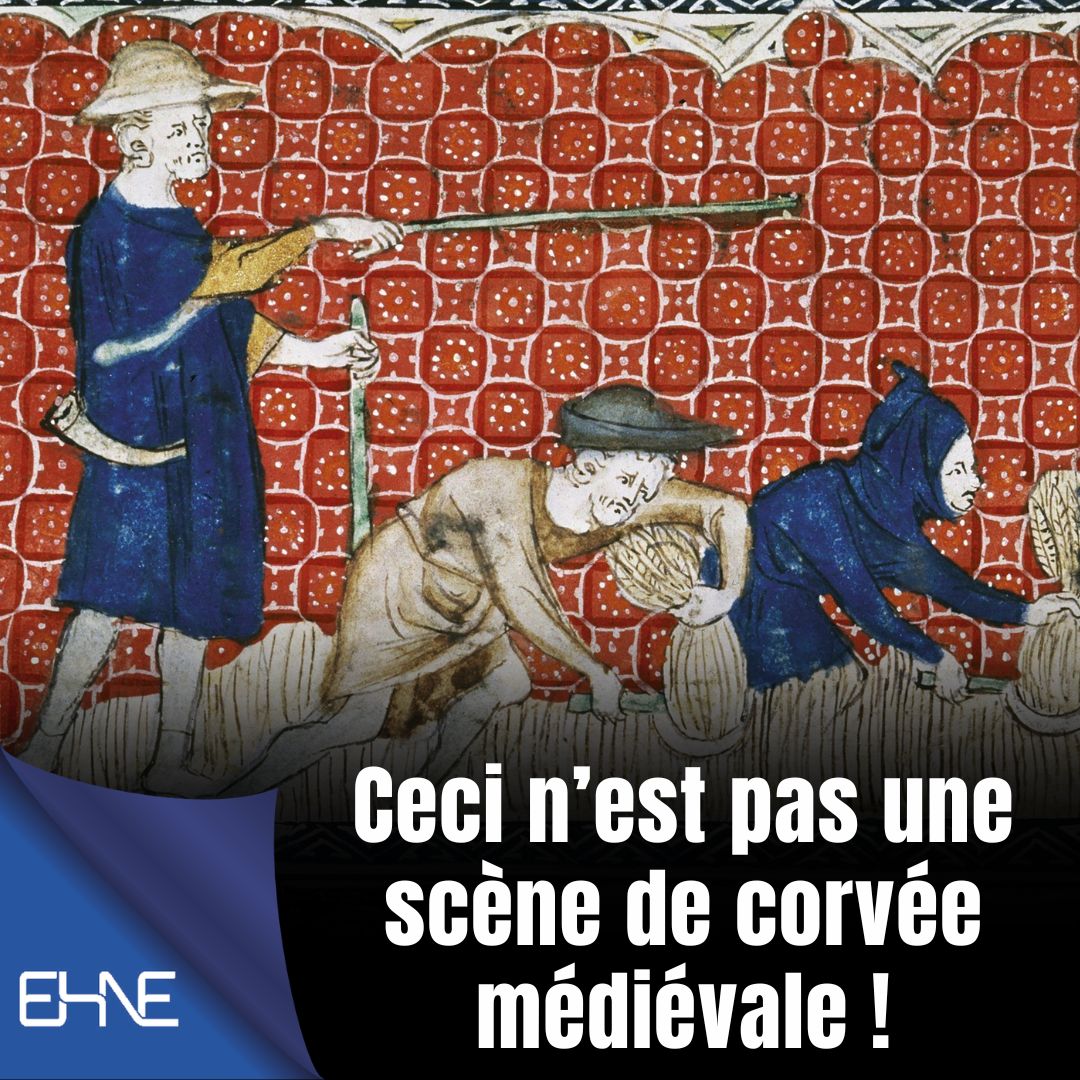 HistoireEHNE's tweet photo. 🧐 Ceci n’est pas une scène de corvée médiévale !
À première vue, cette image semble montrer une corvée imposée par un seigneur brutal. Pourtant, plusieurs détails révèlent une tout autre réalité.
📝 Les explications de Pierre Prétou 👇
https://t.co/F7tDz1guY7 https://t.co/cKkGYGrxa8