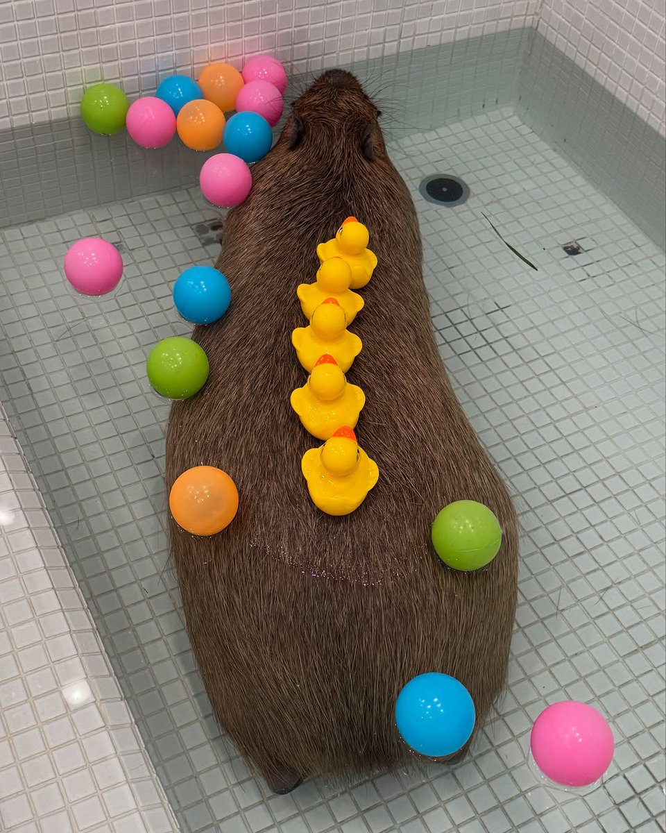 M&M tweet media