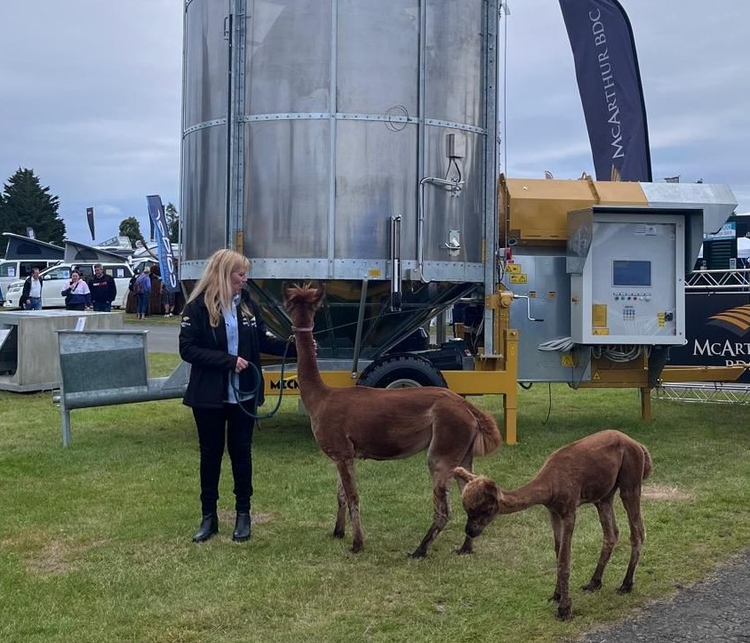 McArthur_Agri's tweet photo. Very welcome visitors to our stand C 40 (A) at @ScotlandRHShow. Our amazing Sarah Williams is making sure they receive VIP treatment.
@allthingsgrainhandling #alpacas https://t.co/NFEsZ3nSuY