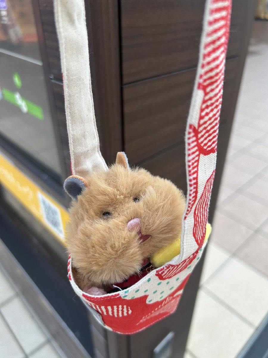 buricheeky's tweet photo. 仕事終わった！かえろーね🐹 https://t.co/PQabbLviPl