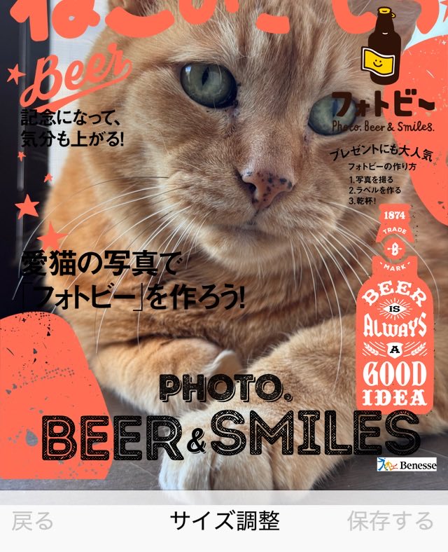 pulumama's tweet photo. 【ねこのきもちカメラアプリ→https://t.co/nNy45waLJB】 #ねこのきもち
#またたび家　#保護猫　#茶トラ　#猫 #neko #katze #cat https://t.co/3P8I1XVKbD
