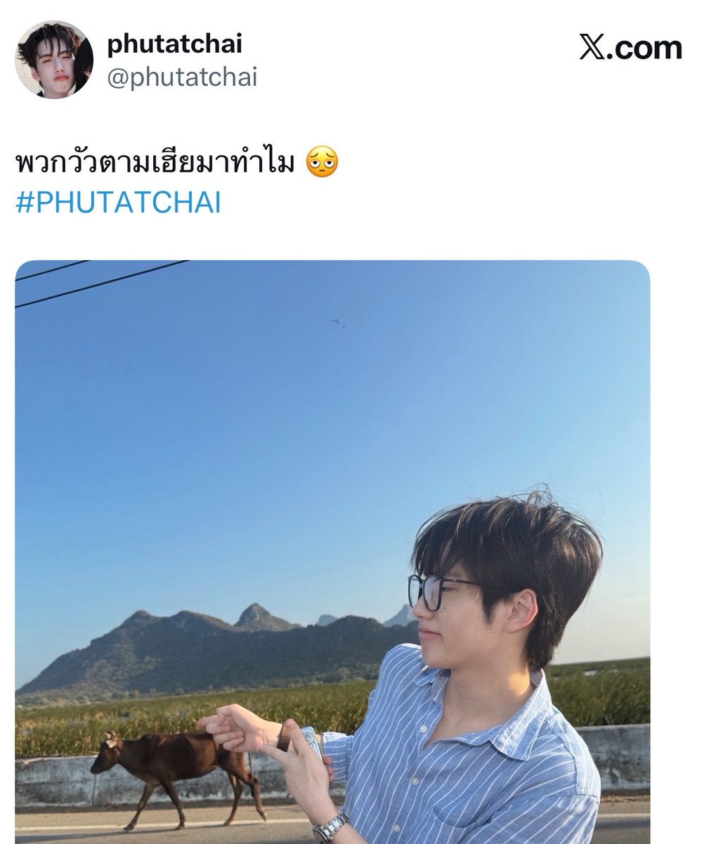 Summerramy's tweet photo. ศิลปินที่เปิดพื้นที่ให้สาววายบ่อยที่สุด https://t.co/CEZSvixKIX