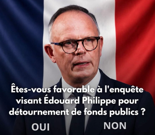 amanda_npo's tweet photo. 🇫🇷 Êtes-vous favorable à l'enquête visant Édouard Philippe pour détournement de fonds publics ? https://t.co/XfdrSNbTEu