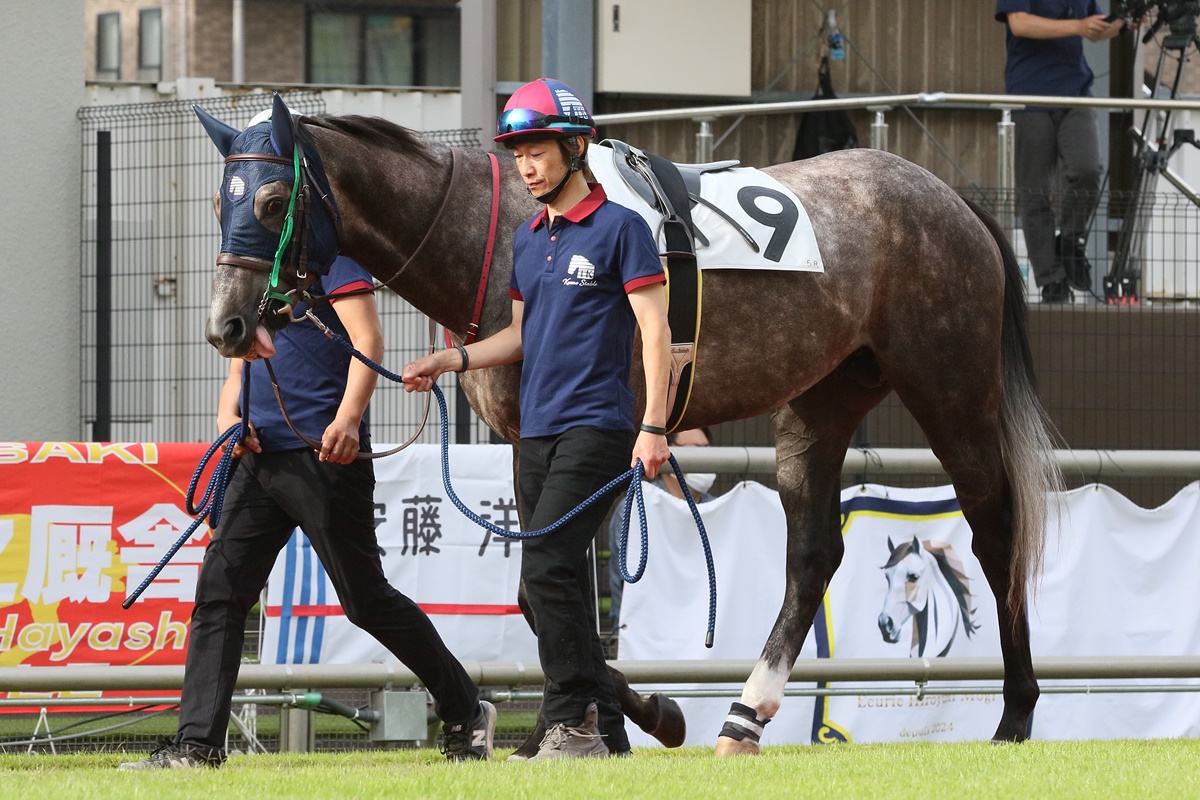 katsumaruclub's tweet photo. 川崎競馬倶楽部ブログを更新しました。

今野忠成厩舎が開業初出走しました！
https://t.co/JGpWIbOvnO

初出走は３着（２番人気）でした。
コメントなどはこちらをご覧ください。

#地方競馬 #川崎競馬 https://t.co/x3n12QxAMY