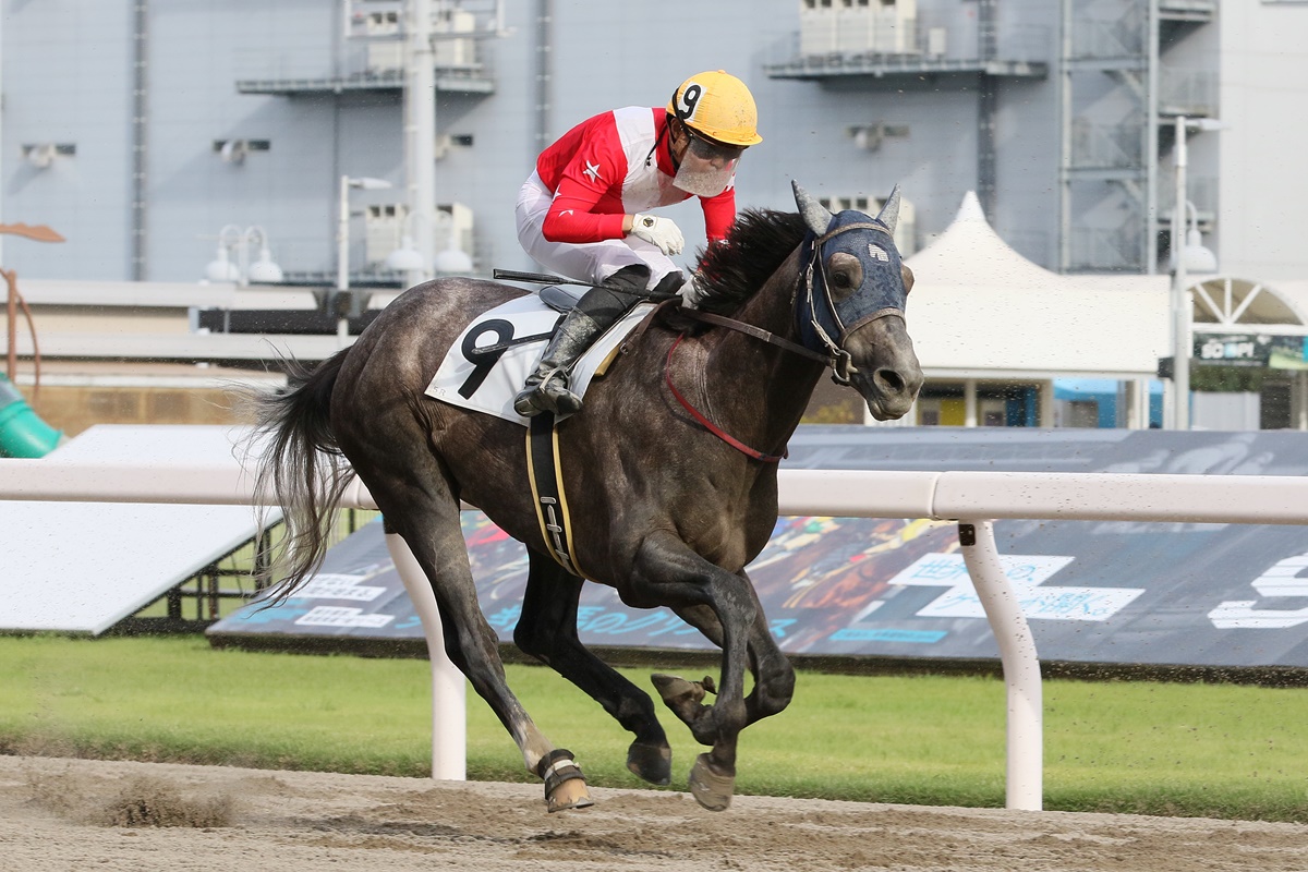 katsumaruclub's tweet photo. 川崎競馬倶楽部ブログを更新しました。

今野忠成厩舎が開業初出走しました！
https://t.co/JGpWIbOvnO

初出走は３着（２番人気）でした。
コメントなどはこちらをご覧ください。

#地方競馬 #川崎競馬 https://t.co/x3n12QxAMY