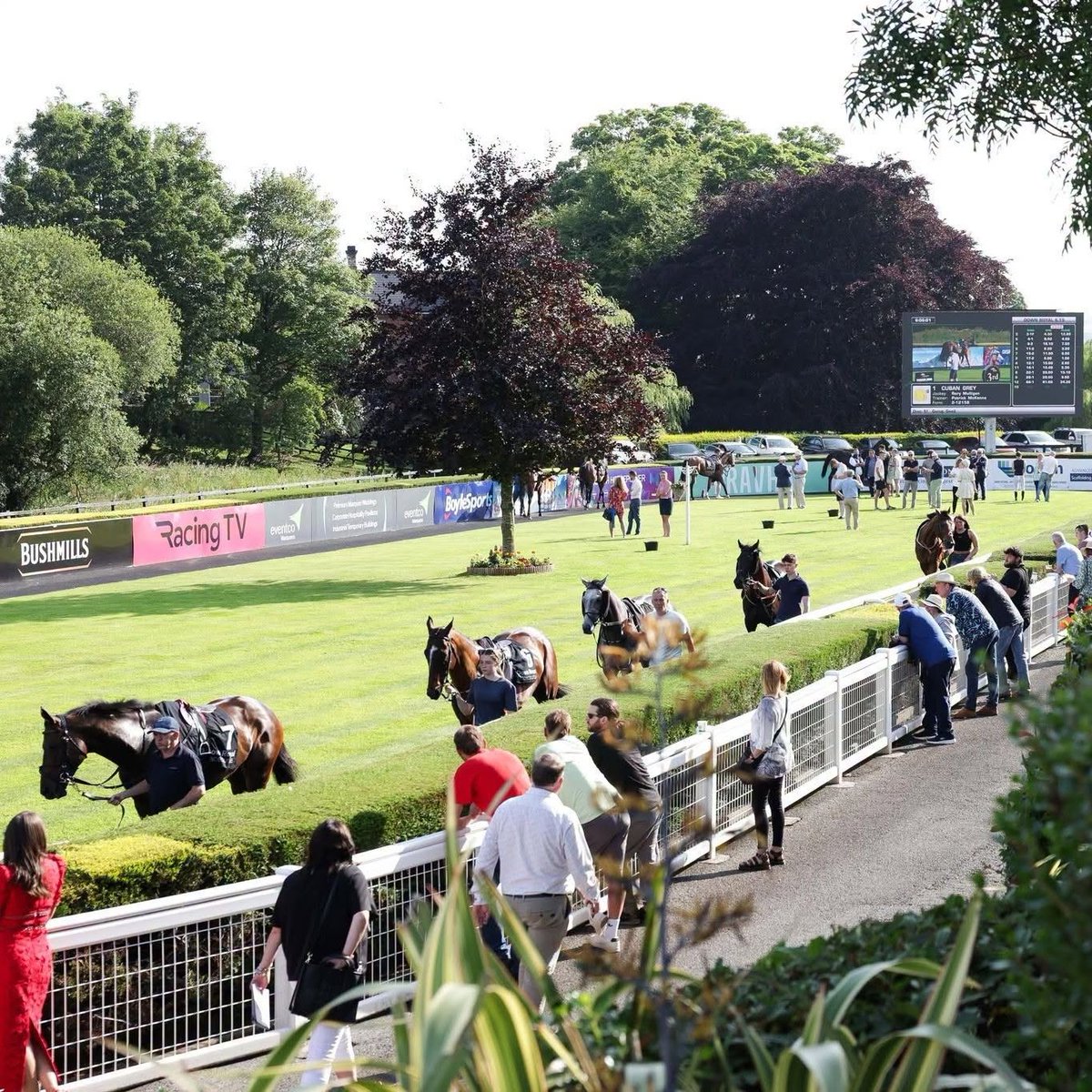 lisburnccc's tweet photo. 🏇🏻 Get ready for an action packed weekend at @Downroyal Racecourse!⁠
⁠
The Summer Festival of Racing starts this Friday 19th June, with an incredible line up on both days including fantastic flat racing, Madri picnic area, Ladies Day tent & bar, Mercedes Benz activation, Q Radio and a live DJ after racing.⁠
⁠
Get your tickets for an unmissable action packed and seriously stylish schedule! 💅🏻⁠
⁠
🚌 Event Travel 🚆⁠
- Coach travel from Belfast can be booked online at https://t.co/tfSmIEkt3Y⁠
- Shuttle buses will also be running on Saturday 20th connecting Lisburn Train Station to Down Royal at 11.30am and 1.20pm, with return shuttle at 6.15pm and 7.30pm. ⁠
⁠
🎟️ Full details and tickets: https://t.co/DJ1JYItzMj