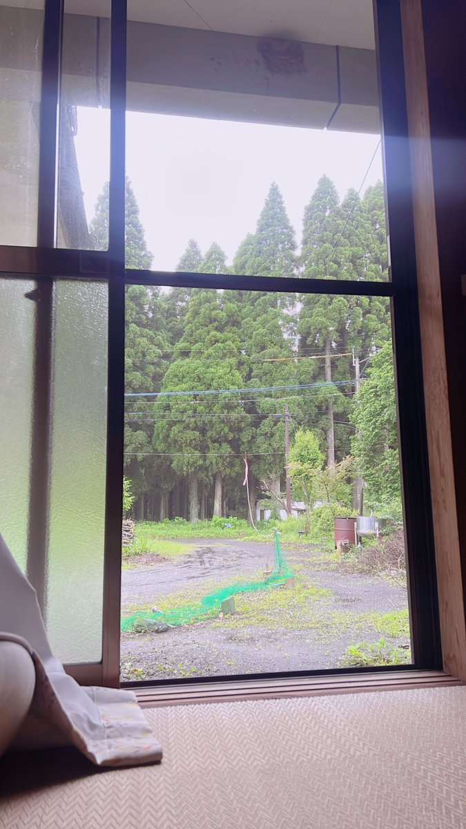 8282_hachimitsu's tweet photo. ゆったり、まったり、
早めの夏休み中です∗︎*ﾟ🍉

産みたてたまご♡♡🥚*ˊᵕˋ)✨ https://t.co/VUaHM5dTPe