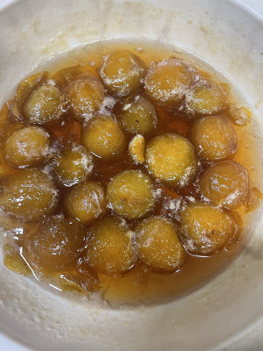 KimicTokyo's tweet photo. 庭の梅の木に

なった青梅で

甘露煮を作ってみた♪

美味しくできたかな☺️ https://t.co/Hd9BvtmR0N