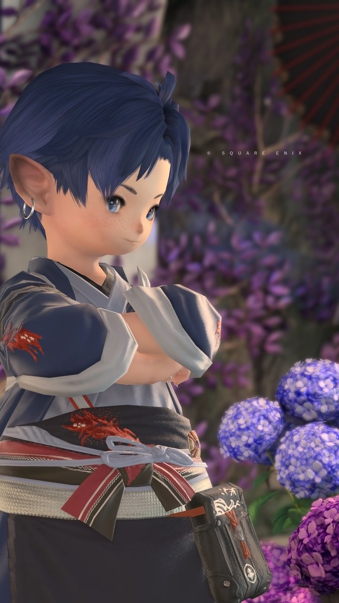 H_FFXIV's tweet photo. #SS_Labo 6月の撮影会は新メンバーを迎えて『紫陽花で和風』の個撮会1⃣
#GanbattaHousing https://t.co/JdlgNdAtAD
