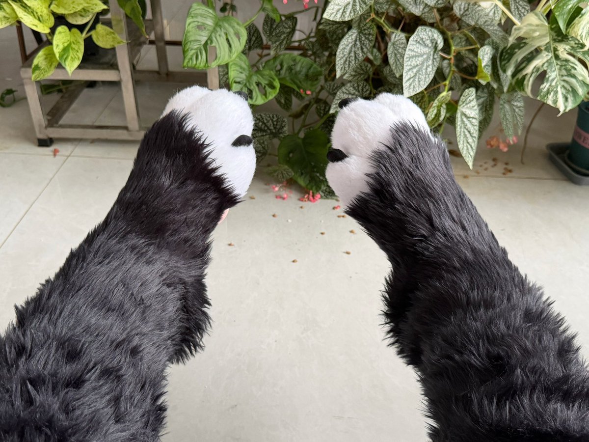 Bubo_li's tweet photo. 好消息 不用非得穿敞腿裤，收腿裤看起来也挺自然的
坏消息 我的粉色beans和白毛实在是太容易脏了……不能穿着随便乱逛 https://t.co/lfDJwdtyQn