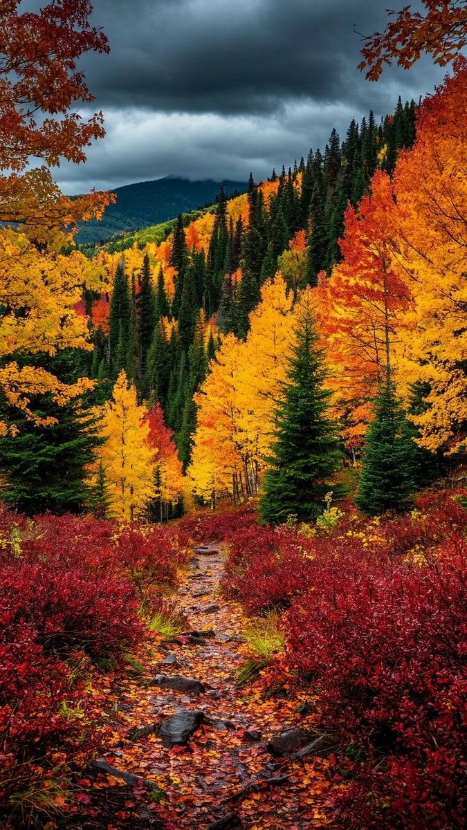 Nature Lover🌎 tweet media
