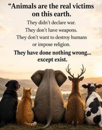 FraserYasin's tweet photo. And this struggle for existence is proving costly.👇 https://t.co/zMgVhHmRn1