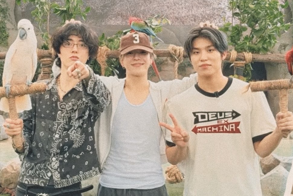 PICSPJW's tweet photo. jeongwoo at bird paradise! 🦜#박정우 https://t.co/eqOgz3BS2Q