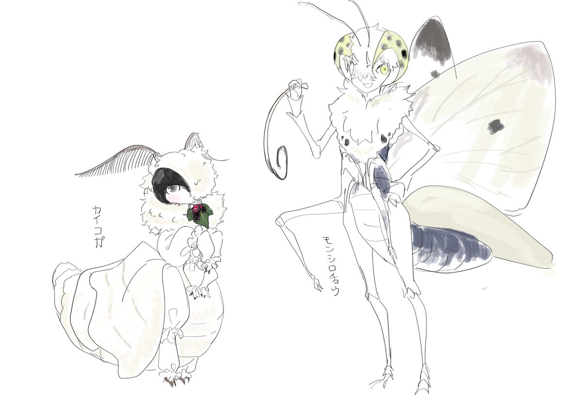 我くしのかわいい蝶蛾の擬人化でも流しとくか 