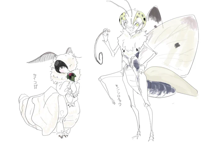 我くしのかわいい蝶蛾の擬人化でも流しとくか 