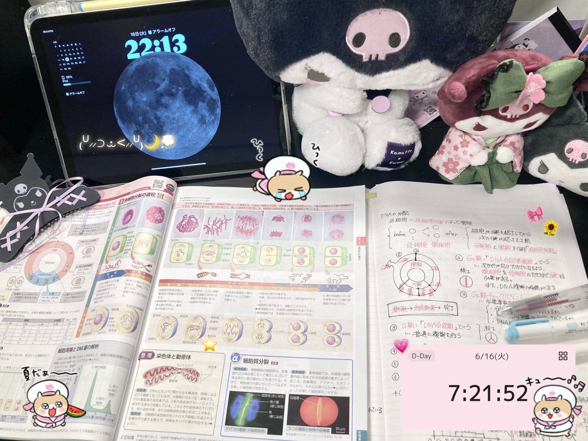__jy4n's tweet photo. 今から勉強ჱ̒^_ .̫ _^➰🌟 https://t.co/7Q04zcGgXa