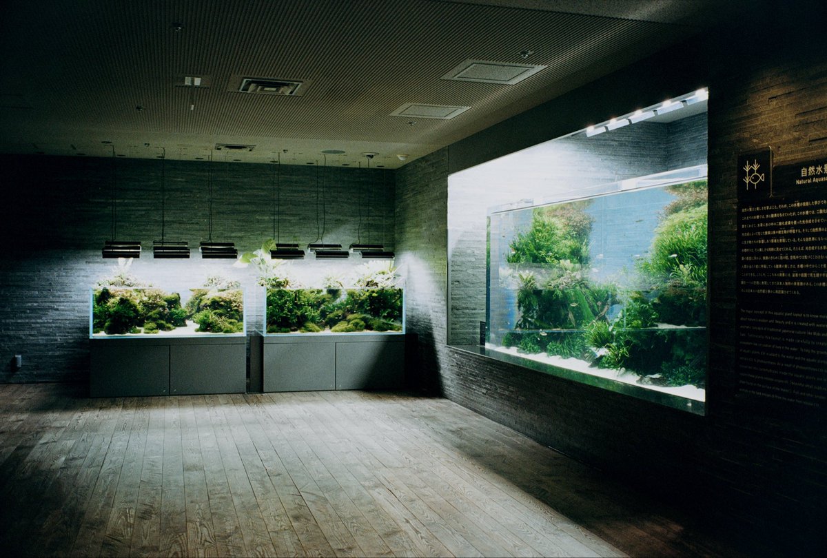 @tak_aquarium) / Posts / X