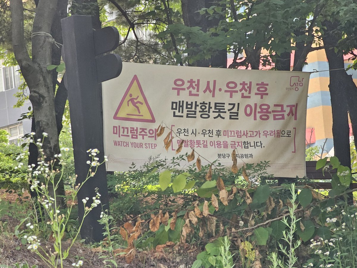 oohayabusa's tweet photo. 이 근처 까치들만 뭔가 묘하게 주황색이지않아...?
뭐야..? 싶어서 주위를둘러보니 황토맨발길이 있었음 
다들 같은목욕탕에서 목욕한거구나!! https://t.co/zhBrm39CWS