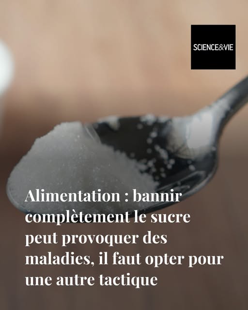Sarssipius's tweet photo. Big Sugar se rebiffe ! Opération réhabilitation du sucre engagée ! Science et Vie est sur le doss' !

Blague à part, comment on atteint un régime sans sucre strict parce à part en ne mangeant que du carton ? https://t.co/o01VYppTcE