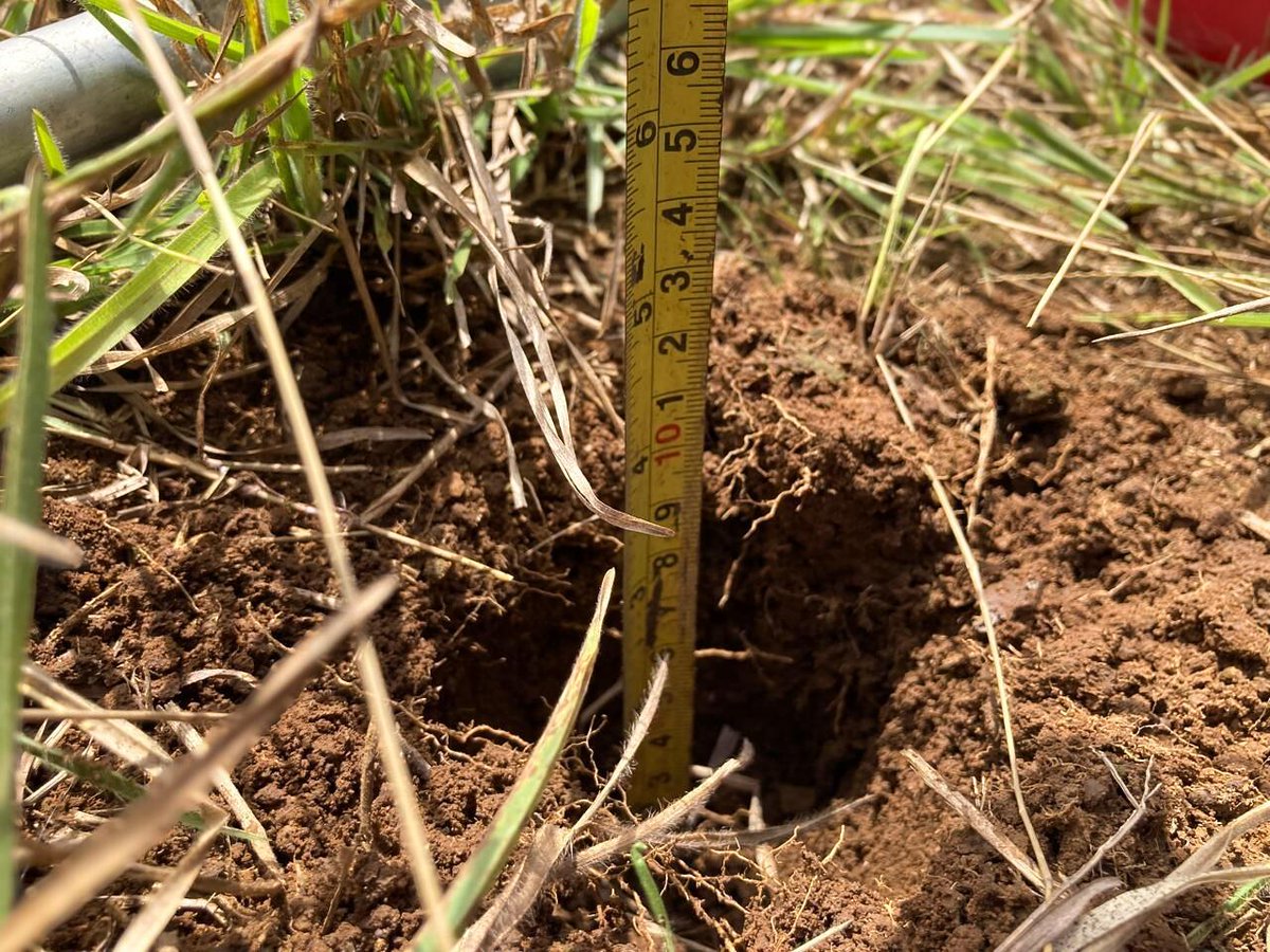 CGIAR tweet picture