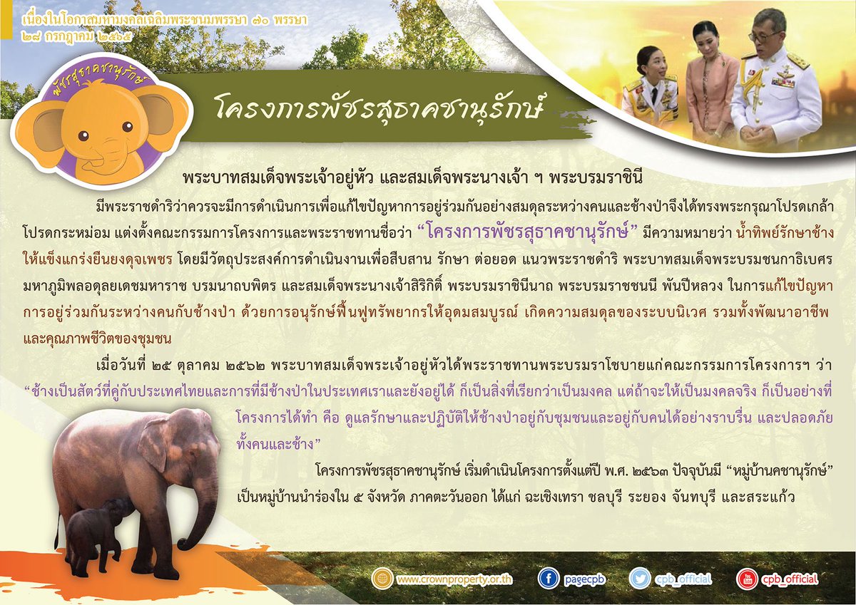 KwangtawanT's tweet photo. โครงการพัชรสุธาคชานุรักษ์ 

https://t.co/lKoKoC34Mz https://t.co/m17DYirGko