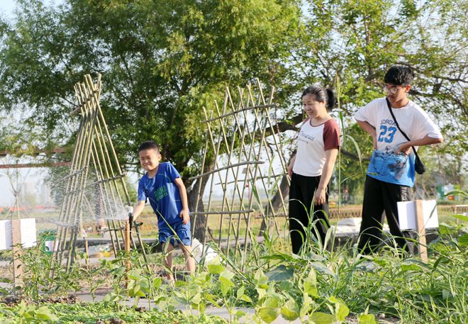 godfreybn's tweet photo. Free community garden volunteer day this Sat (9am-12pm)! Help plant veggies, meet neighbors u0026 enjoy fresh air. Sign up via link in bio https://t.co/x2zXhKLJkJ