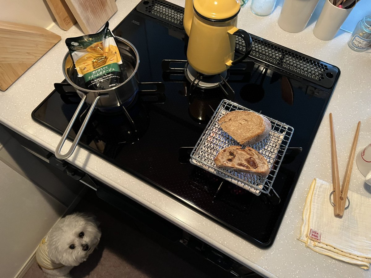 yamaimo028's tweet photo. 犬のいる暮らし幸 https://t.co/e5lmpZ4FiN