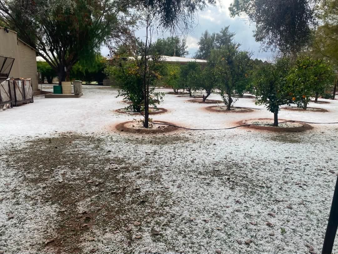 EagleFMNam's tweet photo. FROSTY… The cold front currently making its way through Namibia has resulted in signs of frost in the Hardap Region. 

Photos: Bernhard Mukuve https://t.co/A2P1eCfkb8