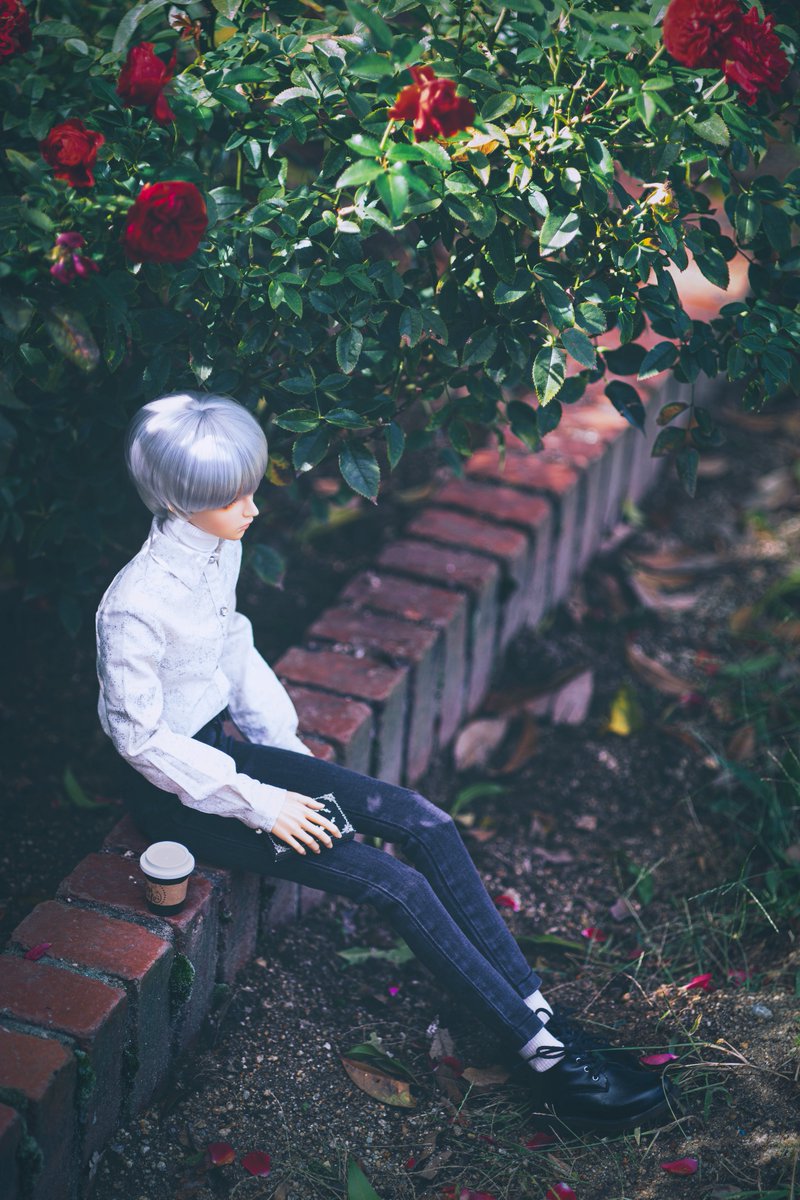 kyu_doll's tweet photo. #思わず生きていると感じたドール写真を見せて下さい
生きてるね。 https://t.co/sGvaLwY6zK