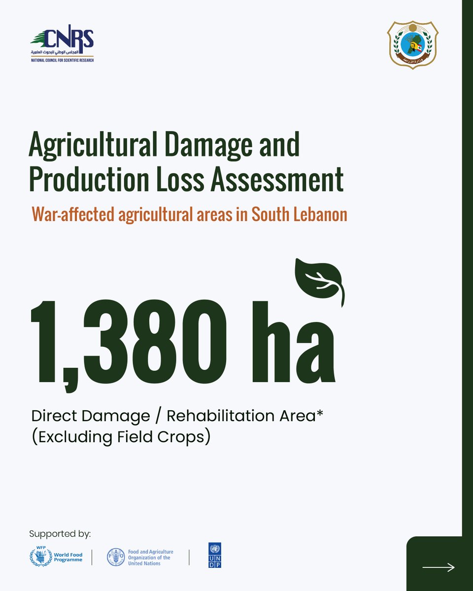 CNRSL's tweet photo. Part 1: Key findings from the Agricultural Damage and Loss Assessment of war-affected agricultural areas in South Lebanon, conducted jointly by CNRS-L and the Ministry of Agriculture. https://t.co/JU74P3myqt