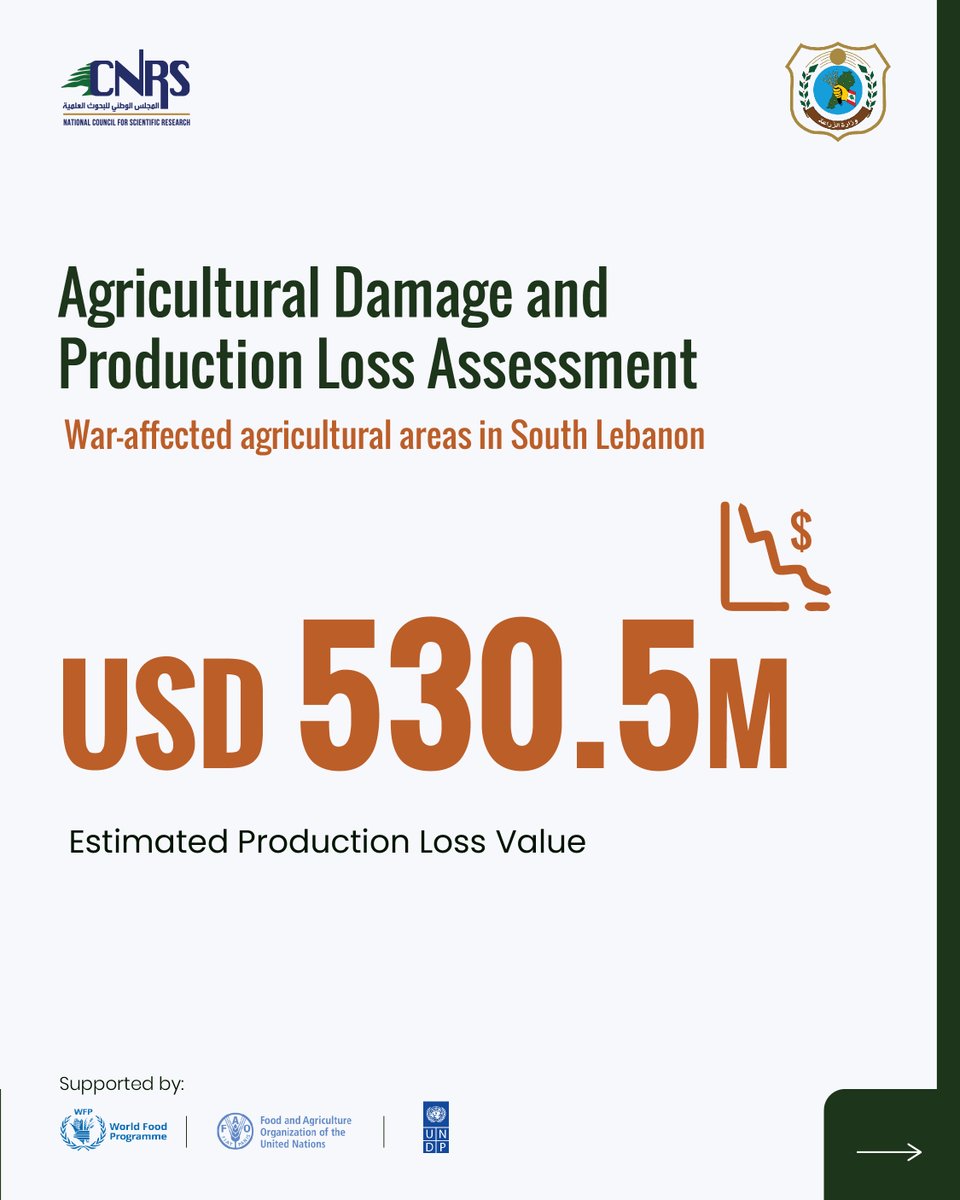 CNRSL's tweet photo. Part 1: Key findings from the Agricultural Damage and Loss Assessment of war-affected agricultural areas in South Lebanon, conducted jointly by CNRS-L and the Ministry of Agriculture. https://t.co/JU74P3myqt