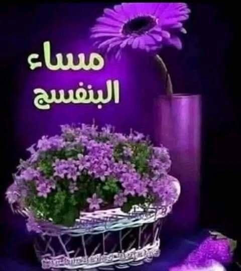 رعد قاسم العنزي tweet media
